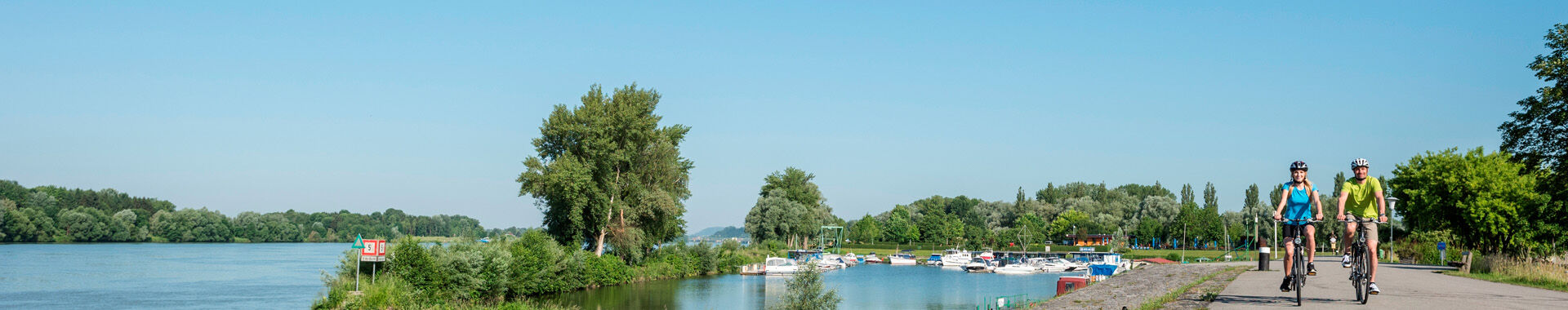 Zwei Radfahrer fahren entlang der Donau am Donauradweg in Au an der Donau.